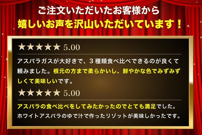 アスパラガス3色セット 1kg 野菜 野菜セット 