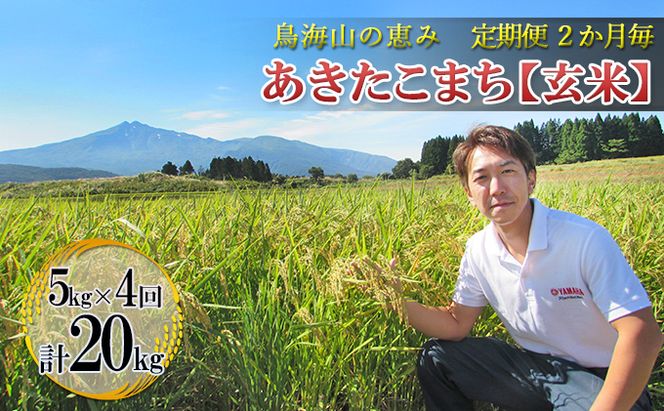 米 お米 【定期便】2ヶ月ごとに5kg×4回 鳥海山の恵み 農家直送！ あきたこまち（玄米・隔月） 計20kg サブスク