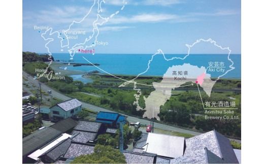 純米大吟醸 高知県産酵母使用 安芸虎 CEL-24 720ml 日本酒 土佐酒 地酒 フルーティー 甘口 華やか 香り 有光酒造場 阿波山田錦 50%精米 父の日 誕生日 敬老の日 バレンタイン 贈り物 ギフト 贈答用 プレゼント 飲みやすい 若者 女性 おさけ 酒 お酒 数量限定 期間限定 人気 安芸市 高知県