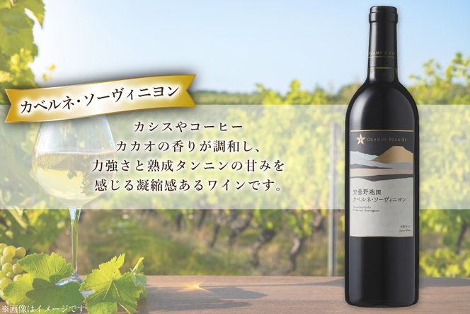 赤ワイン セット サッポログランポレール 安曇野池田ヴィンヤードワイン 赤2種セット 750ml 計2本 [ナチュラルマルシェ ソヨソヨ 長野県 池田町 48110928] 酒 お酒 アルコール 赤 赤ワイン 国産 あるこーる ぶどう 特別 フルボディ ミディアムボディ 料理 セット