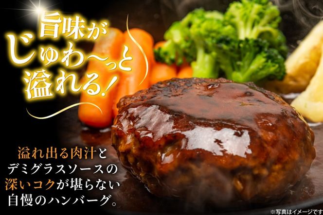 AJ638 デミグラスハンバーグ290g 5パック [ 牛肉 豚肉 国産 合挽 ギフト 御中元 御歳暮 湯煎 竹林 つばきグリル 株式会社プラス1 長崎県 島原市 ]