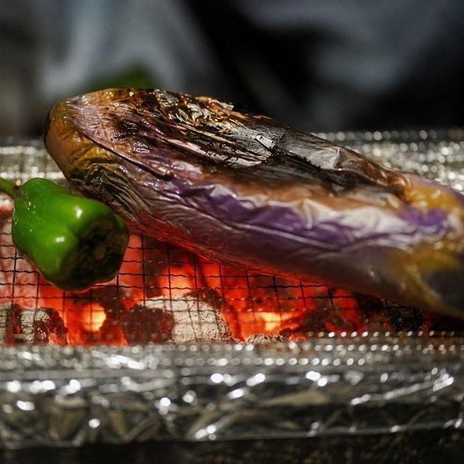 【 伝統野菜 ぼたなす 秀品 1.5㎏ 】 なす ナス ボタナス 焼きナス ナスレシピ 野菜 とろける食感 クリーミー 人気 お取り寄せ 野菜セット 甘い 産地直送 新鮮 野菜 希少 吉良川町 日南 大平 集落活動センター ひなたぼっこ 高知県 室戸市