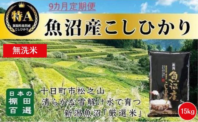 【令和8年産 先行予約】 無洗米 9カ月 定期便 日本棚田百選のお米 天空の里 魚沼産 こしひかり 15kg(5kg×3)×9回 米 お米 コメ