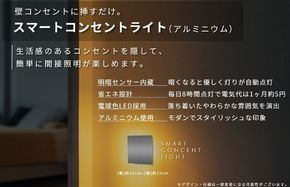 G1219 インテリアに調和するコンセントライト（アルミニウム）