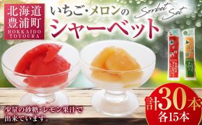 北海道 豊浦町 いちご・メロンのシャーベット 15本×2種 