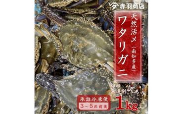 南知多町産 活〆渡り蟹 雄雌無選別 約1kg 200～400g×3匹～5匹 氷〆 レシピ付き