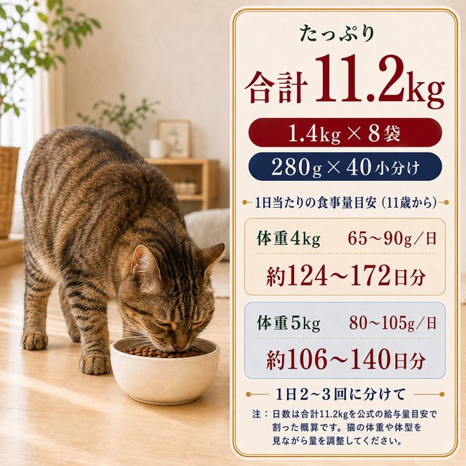 ビューティープロ キャット 下部尿路の健康維持 11歳以上 1.4kg ｘ8(ケース単位) キャットフード