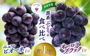 【2026年先行予約】 岡山 花笑み農園の『ニューピオーネ&オーロラブラック』1kg(2房) 2026年9月上旬～ 受付順に発送予【hana032-02】