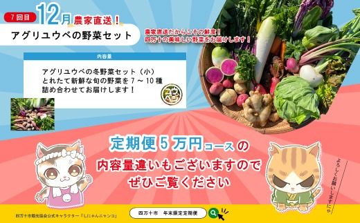 【年末限定】 7回 定期便 四万十 人気 グルメ お楽しみ定期便 しまんと ふるさと 定期便 5万円 Ｂコース 今だけ 年末 限定 野菜 ガトーショコラ ケーキ 焼き菓子 パン 冷凍パン 生食パン あんこ あん食パン 魚 魚介 タタキ たたき 鰹 かつお カツオ 肉 鶏肉 もも肉 骨付き肉 四万十鶏 豚肉 豚 はらみ 柑橘 フルーツ みかん 温州みかん 人気グルメ 高知 四万十市 25-615