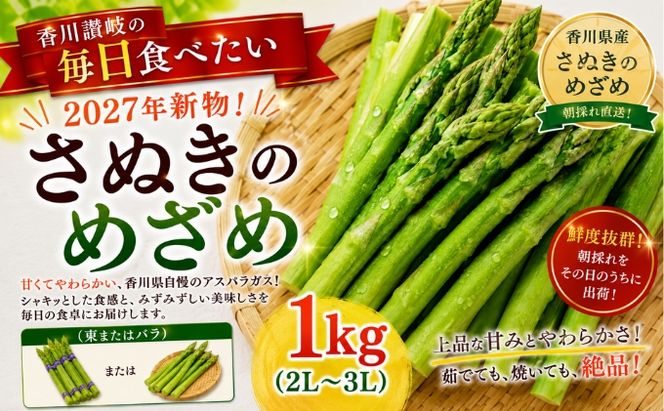 香川讃岐の毎日食べたい「2027年新物！さぬきのめざめ 1kg（2L～３L）」