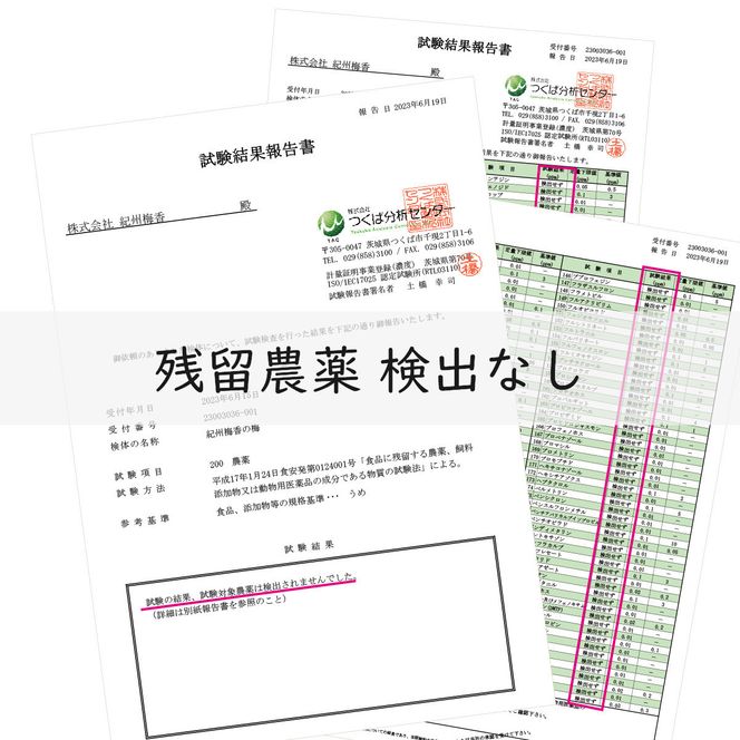 規格外品 無添加無農薬 昔ながらの梅干し 紀州南高梅 塩のみで漬けたすっぱい梅干し 800g（400gパック×2個）塩分約23% 3年熟成品 N20-K ［KU8］ 303446_ED90007
