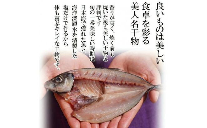 訳アリ：旬の美人干物 たっぷりおまかせセット5種類 322032_EK003