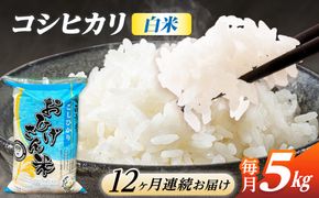 【12回定期便】コシヒカリ 白米 5kg×12か月 / 脇野コンバイン[AECP026]