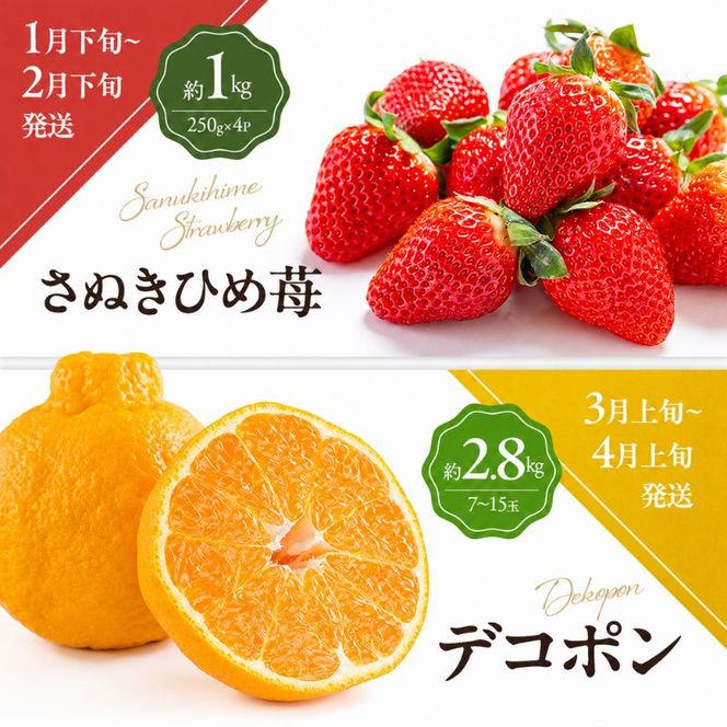讃岐のフルーツ6回定期便【C】【さぬきひめ苺】【デコポン】【桃】【シャインマスカット】【香緑キウイ】【小原紅(さぬき紅みかん)】