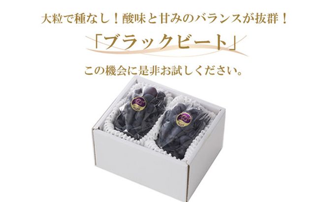 ぶどう 2026年 先行予約 ブラックビート 約400g×2房 ブドウ 葡萄  岡山県産 国産 フルーツ 果物 ギフト 岡山のブドウ デザート 食べ物 日本産 