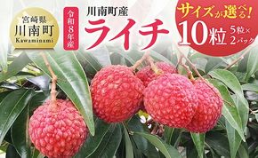 ※サイズが選べる※【令和8年産】川南町産ライチ 10粒(5粒×2パック) 【 国産ライチ フルーツ デザート 宮崎県産 】 [B03201 B03202 B03203]