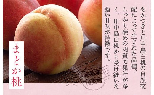 透過式光センサーまどか桃 特秀3kg相当 9玉～11玉＜ ふくしま未来農業協同組合 ＞ | ふくしま 桃 福島 もも 国見 モモ ※2026年8月上旬～8月中旬頃に順次発送予定 ※沖縄・離島への配送不可
