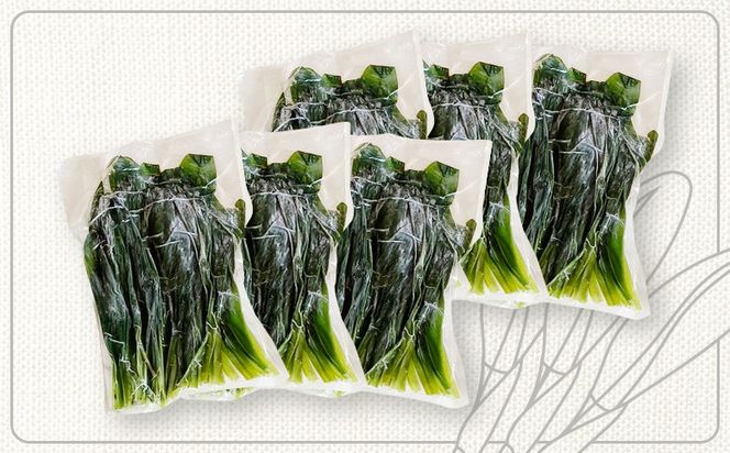 行者にんにく グリーン行者 葉部 6袋 オンライン 申請 ふるさと納税 北海道 中標津 行者ニンニク 幻の山菜 山菜 山の幸 野菜 疲労回復 健康効果 長寿 体力増強 ダイエット効果 焼肉 卵とじ トッピング おひたし おかず 冷凍 中標津町【20011】