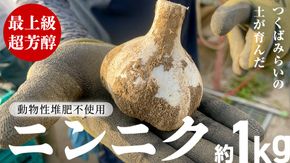 【先行予約】超芳醇 つくばみらいの土が育んだ 最上級ニンニク 約1kg つくばみらい市（2026年6月より発送開始） ニンニク 新ニンニク 茨城県産 国産 無化学肥料 農薬不使用 化学肥料不使用 [FA02-NT]