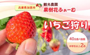 いちご狩り40分食べ放題 中学生以上2名 いちご狩り 食べ放題 40分 いちご イチゴ 苺 観光 レジャー 兵庫県 加西市