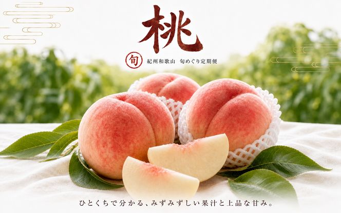 【全3回】紀州和歌山産旬のフルーツセット(せとか・桃・富有柿)  / 果物定期便 フルーツ定期便 セトカ 柑橘 くだもの 果物 カキ かき 柿 もも モモ 桃 【tkb392】