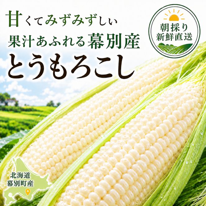 ［先行予約/2027年］もぎたてとうもろこし白10本 [北海道ホープランド農場]【 とうきび トウモロコシ とうもろこし 野菜 夏野菜 フルーツ 北海道 十勝 幕別 】 