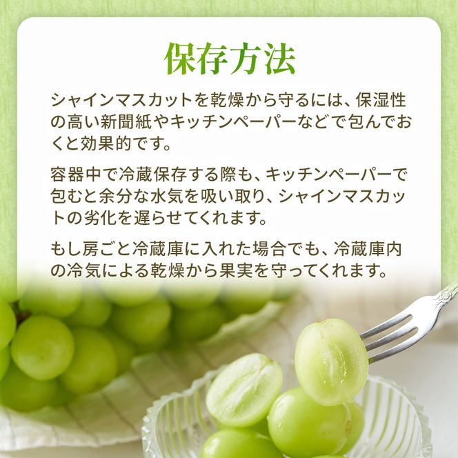 ぶどう 2026年 先行予約 ご家庭用 シャイン マスカット 晴王 約500g×2房 ブドウ 葡萄  岡山県産 国産 フルーツ 果物 太陽 美しい 外観 大粒 高糖度 種なし 皮ごと 弾力 食感 美味しい