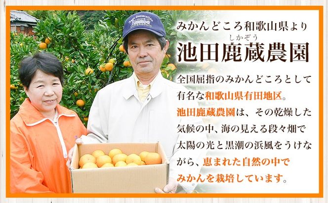 先行予約 厳選 キウイ フルーツ 約1kg 約2.5kg 約5kg 各＋250g (傷み補償分) 池田鹿蔵農園@日高町（池田農園株式会社）《11月中旬～2027年4月下旬出荷》和歌山県 日高町 キウイ キウイフルーツ 果物 フルーツ きうい 【配送不可地域あり】---wsh_idn377_11c4g_26_8000_1kg---