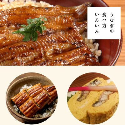 BC6006_うなぎ蒲焼 2本 角長特製蒲焼タレ 1本 セット 国産 安全 ふっくら うなぎ こだわり 蒲焼き 蒲焼 タレ うな丼 うな重 ひつまぶし う巻き うなむすび 土用 丑の日 水産加工品 魚介 海鮮 海産物 冷凍 和歌山県 湯浅町 お取り寄せ お取り寄せグルメ 送料無料