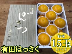 化粧箱 手詰め 有田 はっさく 特秀 L サイズ × 15玉入 2段詰 南泰園 みかん BS704