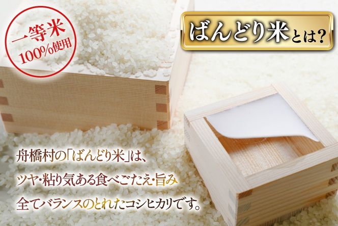 【3ヶ月定期便】【一等米100％】米 令和7年産 ばんどり米（コシヒカリ）精米 5kg 計15kg [農事組合法人東和 富山県 舟橋村 57050214] お米 白米 美味しい こしひかり 富山 農家 令和7年産
