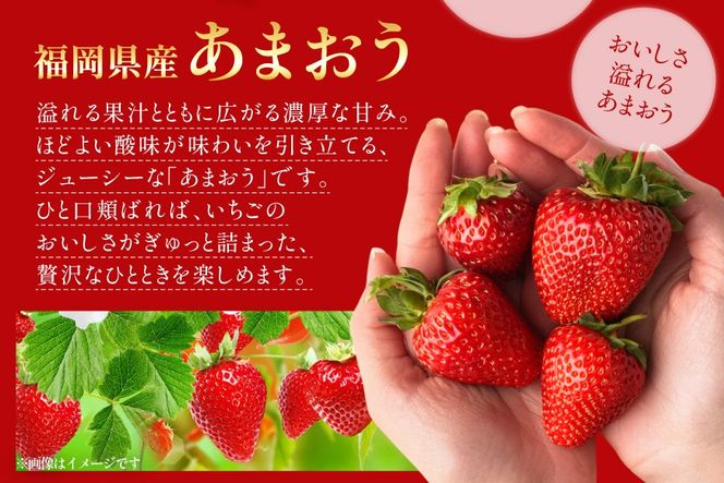 【期間限定発送】 いちご あまおう デラックス 4p [THE FARM_strawberry 福岡県 宇美町 um40azo780001] イチゴ 苺 フルーツ 果実 甘い 小分け