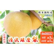 定期便 2回 先行予約 梨 清流錦 あきづき 9月 3kg 新興 10月 5kg フルーツ なし ナシ 果物 デザート 秋月 お楽しみ2026年発送 配送不可:離島