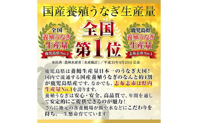 【訳あり・数量限定】復活！不揃いのうなぎ達 計800g以上(鹿児島県産 鰻の蒲焼き) b2-040