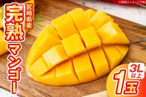 【期間限定発送】 マンゴー 宮崎県産 完熟マンゴー 3L 以上 1玉 [日向サンパーク 宮崎県 日向市 452061246] 宮崎 果物 フルーツ 甘い