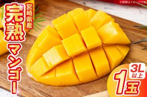 【期間限定発送】 マンゴー 宮崎県産 完熟マンゴー 3L 以上 1玉 [日向サンパーク 宮崎県 日向市 452061246] 宮崎 果物 フルーツ 甘い