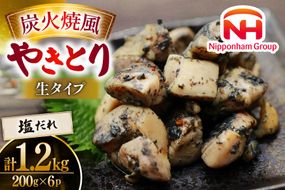 【新登場】 炭火焼鳥 炭火焼風やきとり 生タイプ 塩だれ 200g×6P [日本ハムマーケティング 宮崎県 日向市 452061572] 鶏もも 鶏 宮崎 おつまみ 酒のアテ 炭火焼 炭火焼き やきとり