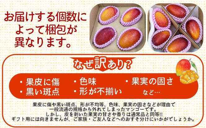 【ふるプレ限定品】＜訳あり 宮崎県産 完熟マンゴー 合計約1.5kg（3～5玉）＞入金確認後、2026年5月上旬から7月末迄に順次出荷【訳アリ ご家庭用 ご自宅 ご褒美 トロピカル 国産 果物 果実 フルーツ 南国 甘い 旬 濃厚（株）ワールドワイドトレード 宮崎県 国富町】【 b0983_ww】