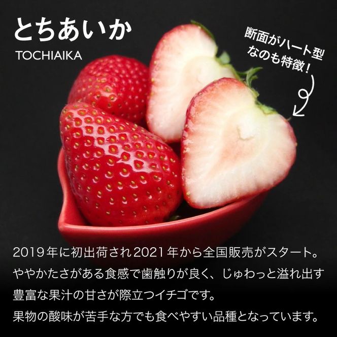 いちご とちあいか 19粒～23粒入【栃木県共通返礼品】 | いちご イチゴ 苺 とちあいか 生いちご 高級いちご 季節の果物 栃木県産 国産 農家直送 ギフト プレゼント お祝い お返し いちごギフト ※2026年12月～発送