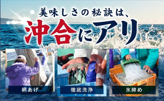 G2182-4 【期間限定】減塩 釜揚げしらす 600g【小分け 150g×4P 漁師直送 シラス 国産 無添加 産地直送 sirasu 海鮮 しらす 鰯 イワシ いわし スピード発送】