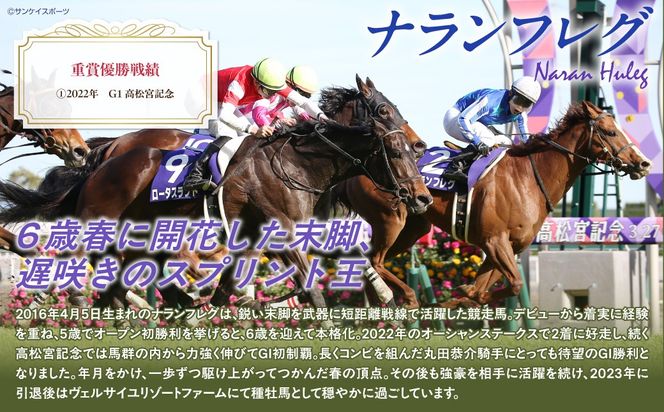 【ナランフレグ】クリアファイル5枚入り BRTV354