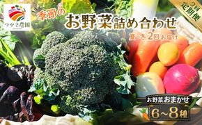 【定期便2回（夏・冬）】つかさ農園 季節のお野菜詰め合わせ（6～8種） ※北海道・沖縄・離島への配送不可