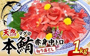 まぐろ ！ 天然本マグロ 中トロ・赤身 切落とし【１kg（100g×10パック）】 まぐろ マグロ 鮪 中トロ 中とろ 赤身 刺身 刺し身 魚 惣菜 海鮮 魚介類 小分け 訳あり 不揃い 冷凍 高知 室戸 mgr tk153