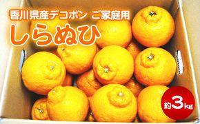 ご家庭用しらぬひ 約３kg デコポン フルーツ 果物類 みかん 柑橘類 