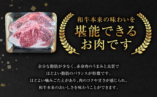 GI認証くまもとあか牛 ロースステーキ 約500g 和牛 ロース ステーキ 牛肉