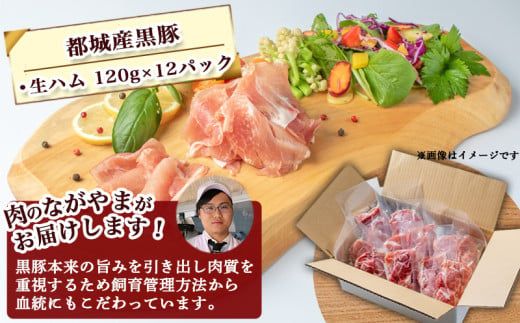 黒豚生ハム1.4kg_MJ-2519_(都城市) 宮崎県産 黒豚 豚肉 豚生ハム 120g×12パック 生ハム 小分け パック 都城産 黒豚 豚肉 加工品 食品 つまみ 酒のお供 酒の肴
