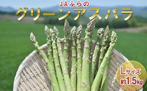 【2026年春発送】富良野産 グリーンアスパラ Lサイズ 約1.5kg アスパラ 野菜 アスパラガス