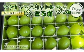 【 お中元 】『 シャインマスカット の宝石箱 (36粒) 』【2026年7月上旬発送開始】(茨城県共通返礼品：大子町) ぶどう 葡萄 マスカット フルーツ 果物 贈答用 ギフト 贈り物