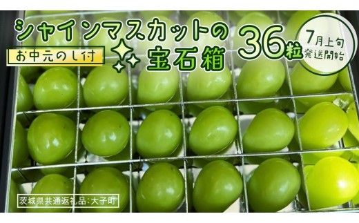 【 お中元 】『 シャインマスカット の宝石箱 (36粒) 』【2026年7月上旬発送開始】(茨城県共通返礼品：大子町) ぶどう 葡萄 マスカット フルーツ 果物 贈答用 ギフト 贈り物