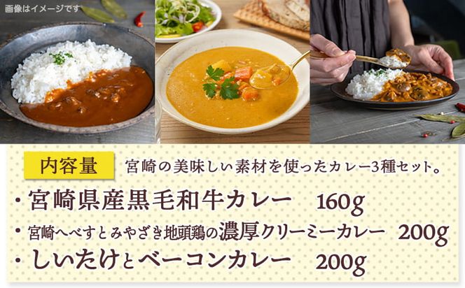 みやざきカレー3種セット※ポスト投函_LB-15-002